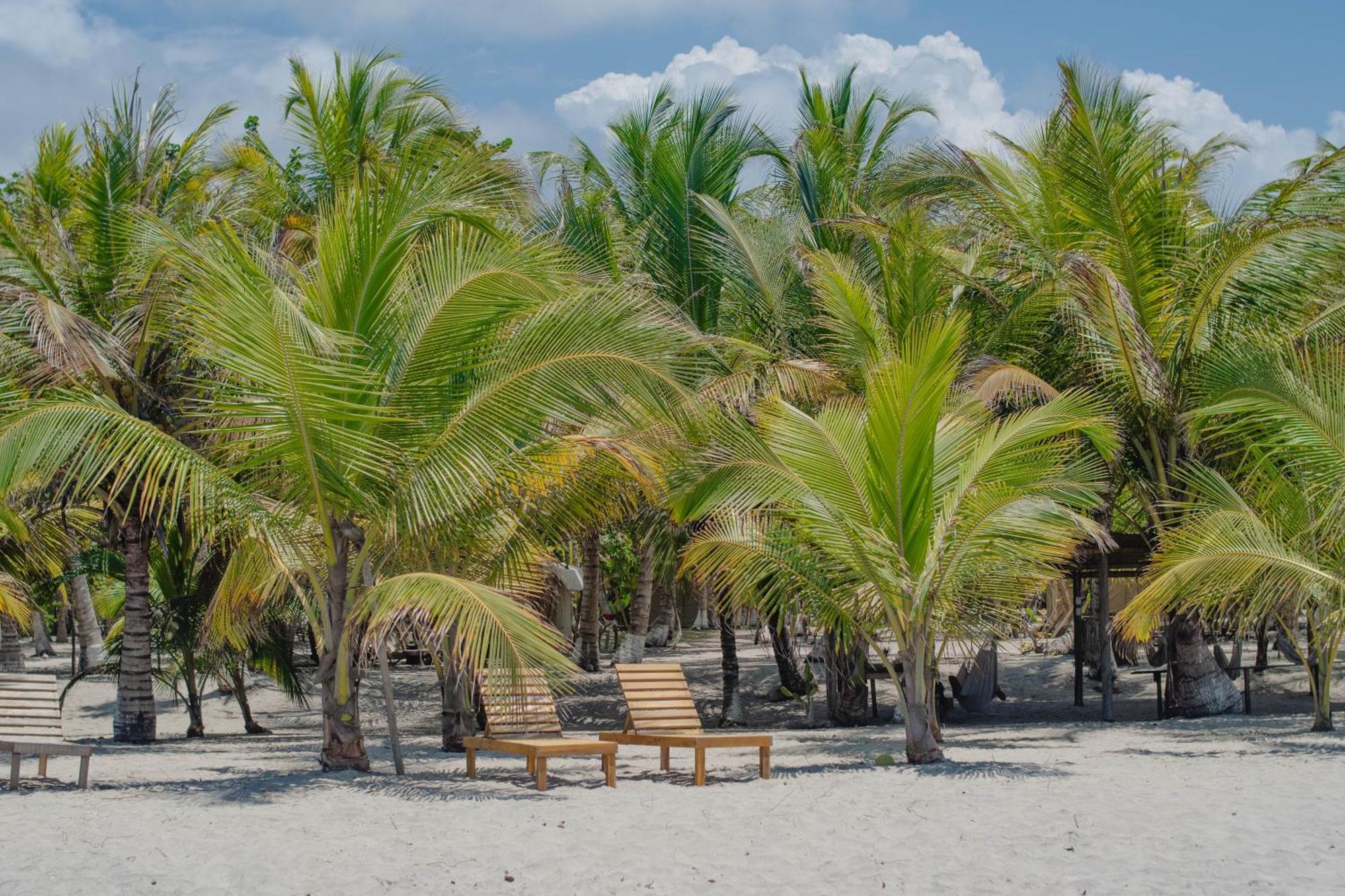 Manoush Beach Buritaca Exterior foto